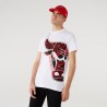 T-shirt NEW ERA Chicago Bulls Oil Slick Infill